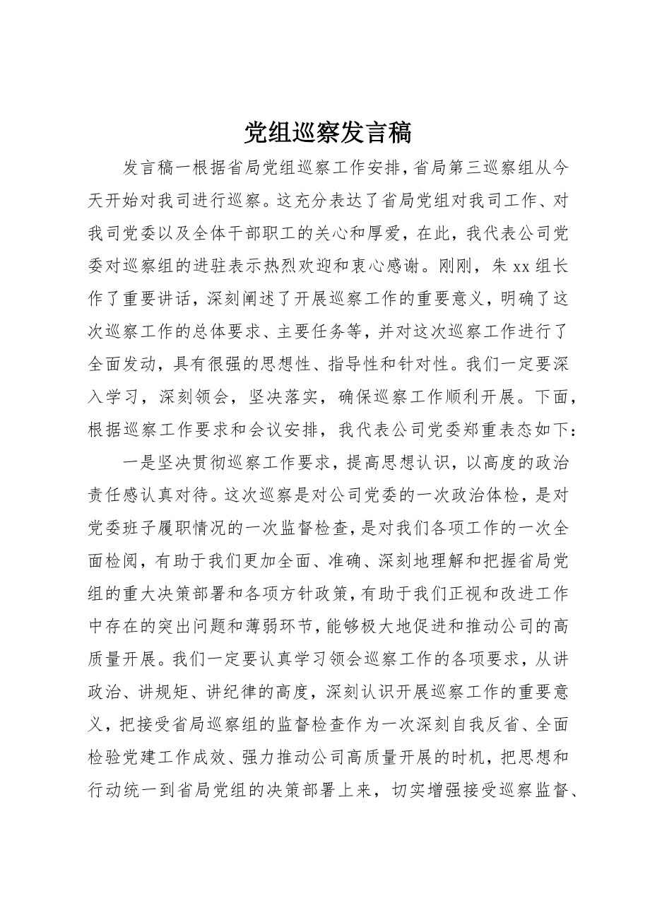 2023年党组巡察讲话稿.docx_第1页