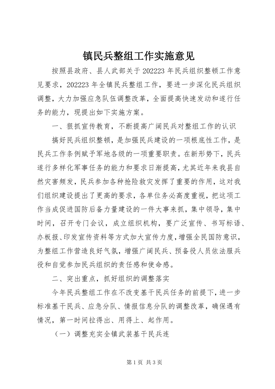 2023年镇民兵整组工作实施意见.docx_第1页