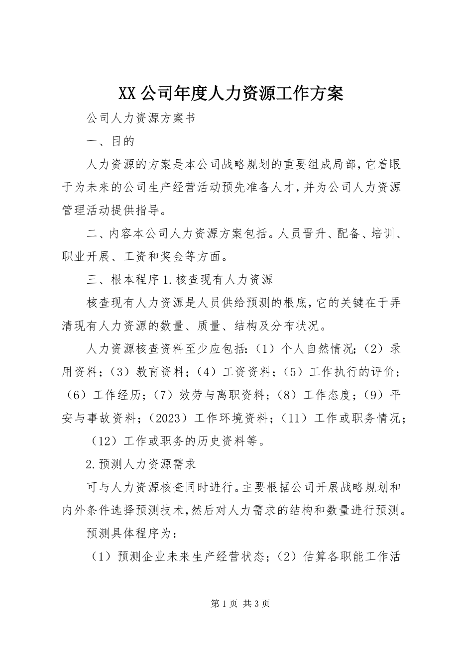 2023年XX公司年度人力资源工作计划新编.docx_第1页