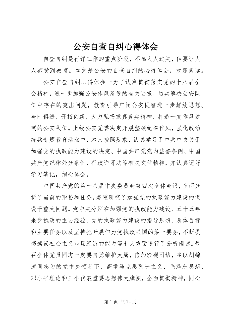 2023年公安自查自纠心得体会.docx_第1页