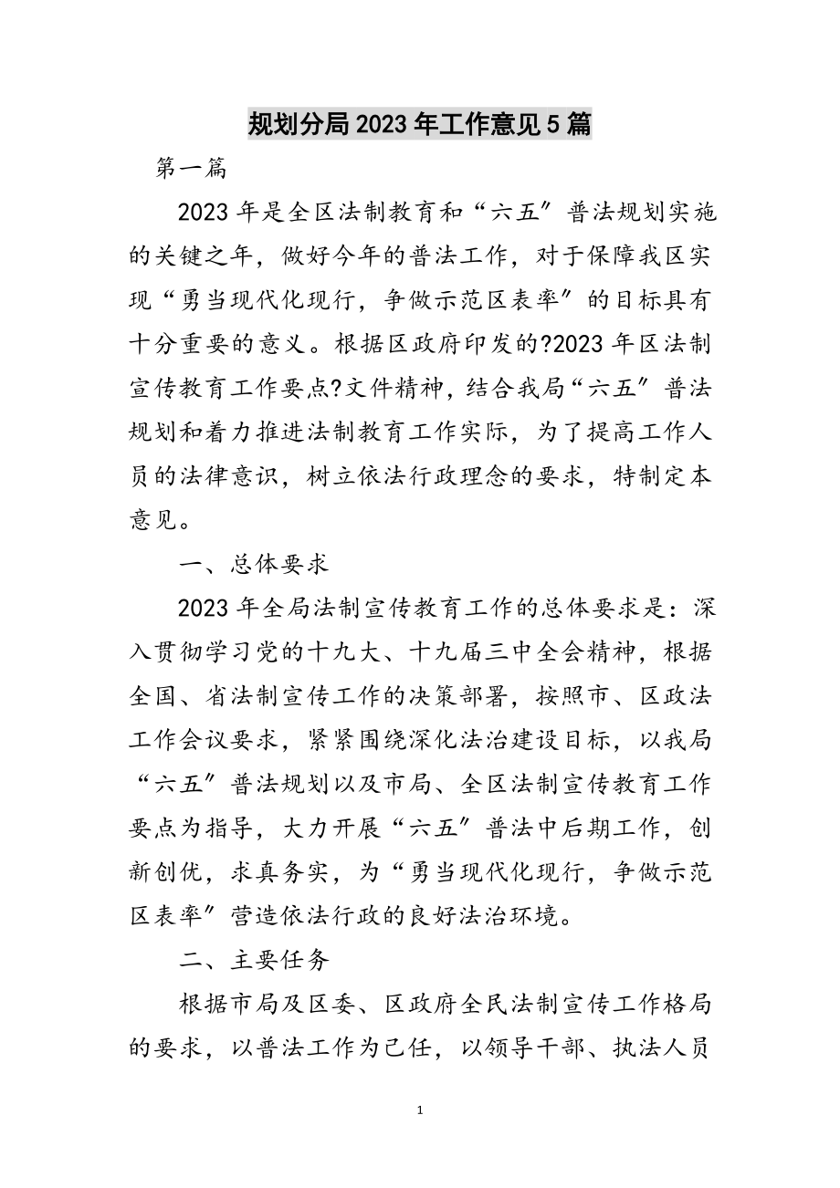 2023年规划分局年工作意见5篇范文.doc_第1页