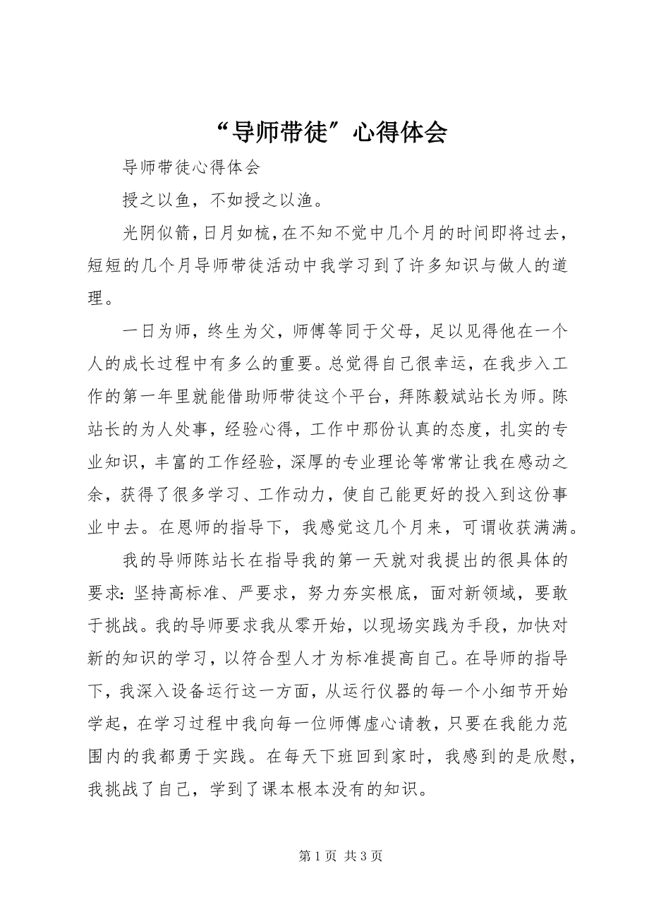 2023年导师带徒心得体会.docx_第1页