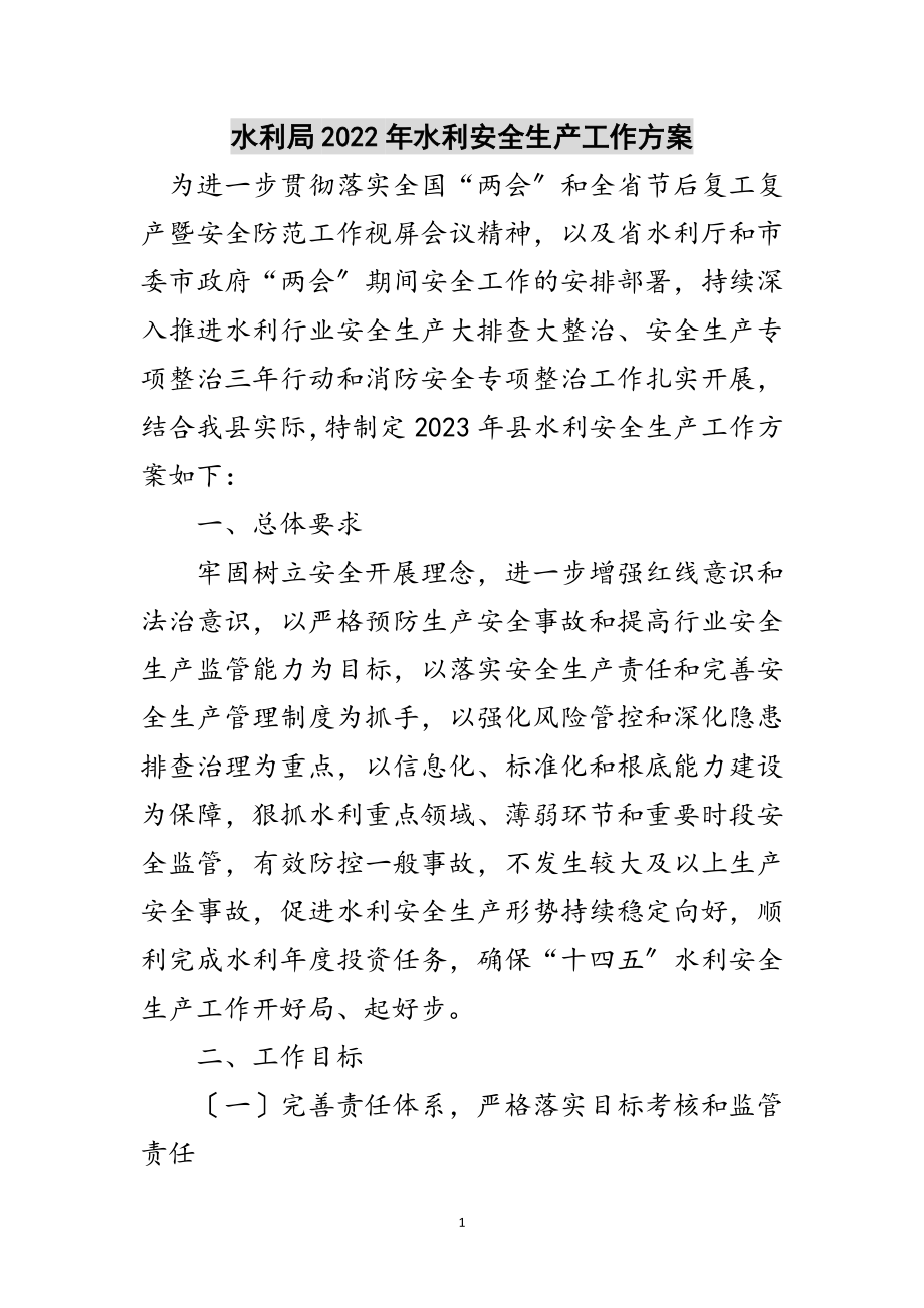 2023年水利局年水利安全生产工作计划范文.doc_第1页