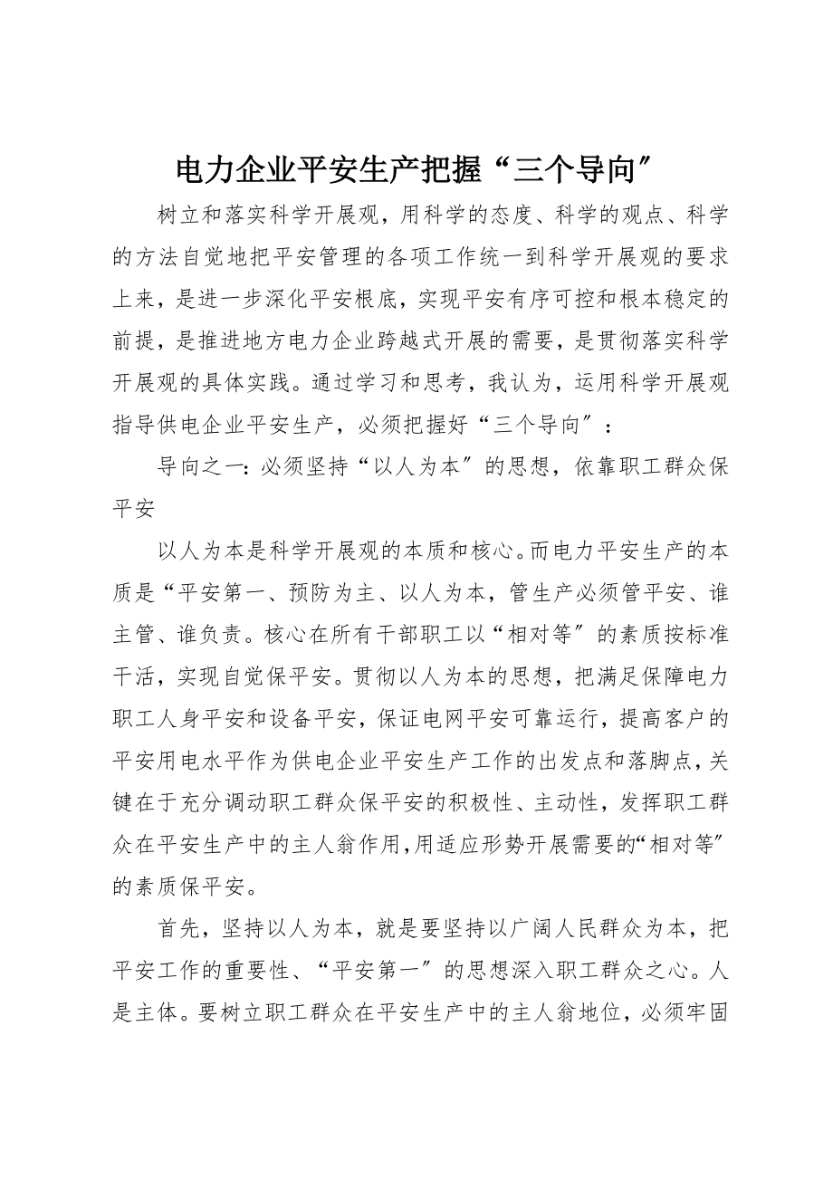 2023年电力企业安全生产把握“三个导向”新编.docx_第1页