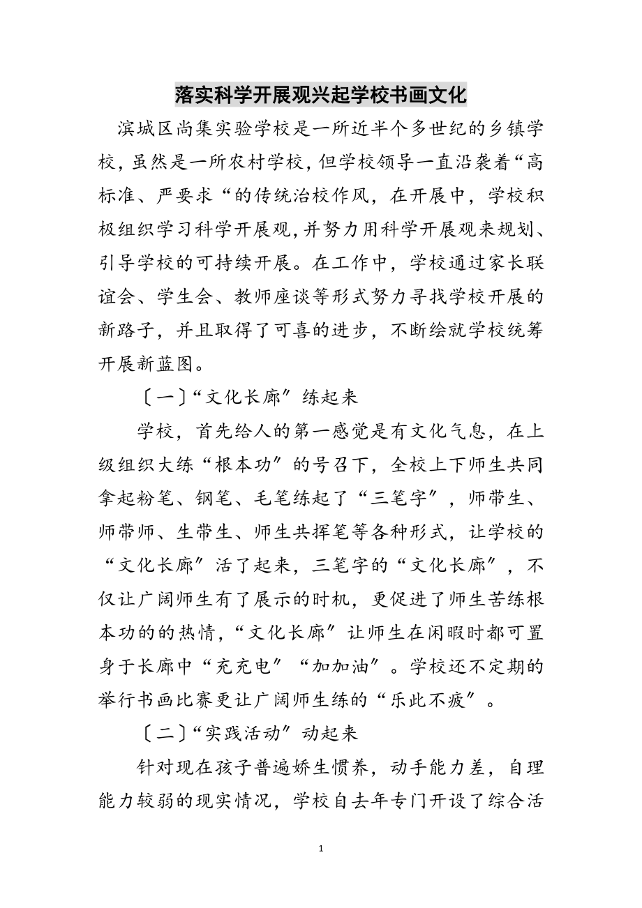 2023年落实科学发展观兴起学校书画文化范文.doc_第1页