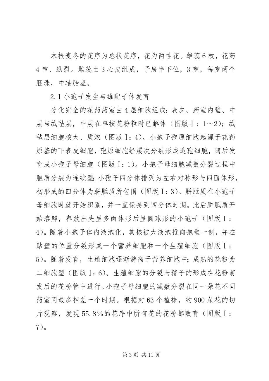 2023年小议木根麦冬发育探讨.docx_第3页