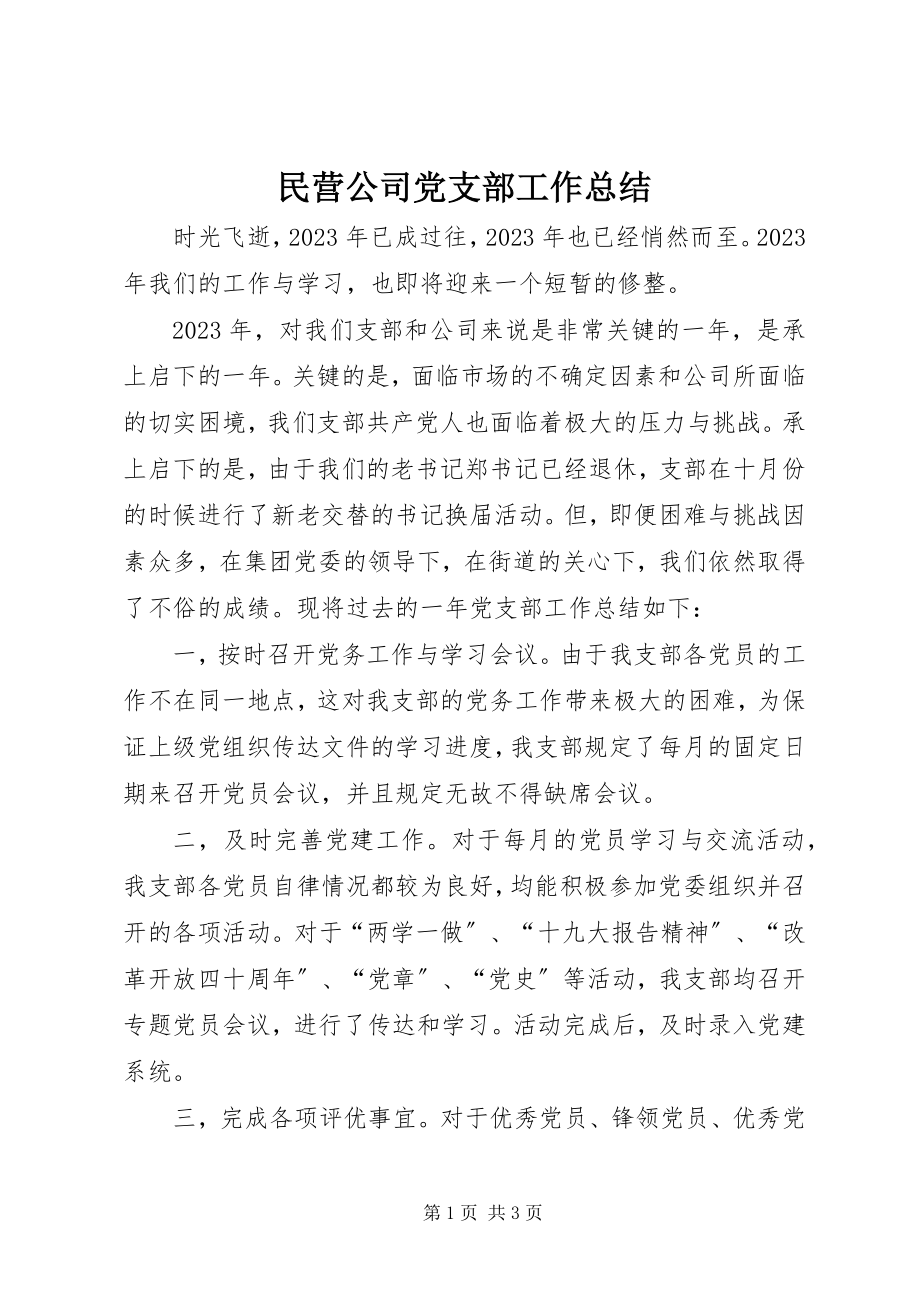 2023年民营公司党支部工作总结.docx_第1页