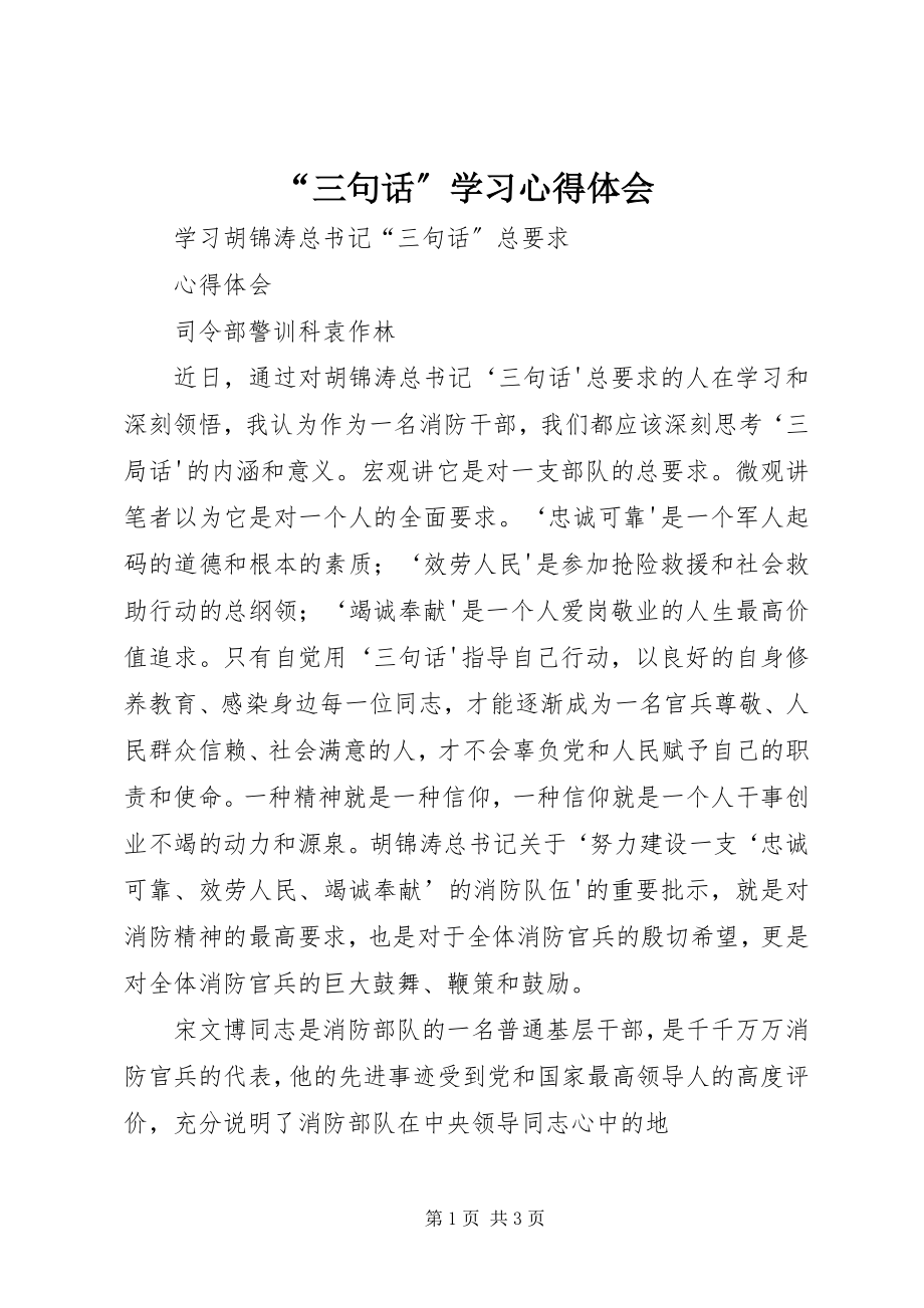 2023年三句话学习心得体会.docx_第1页