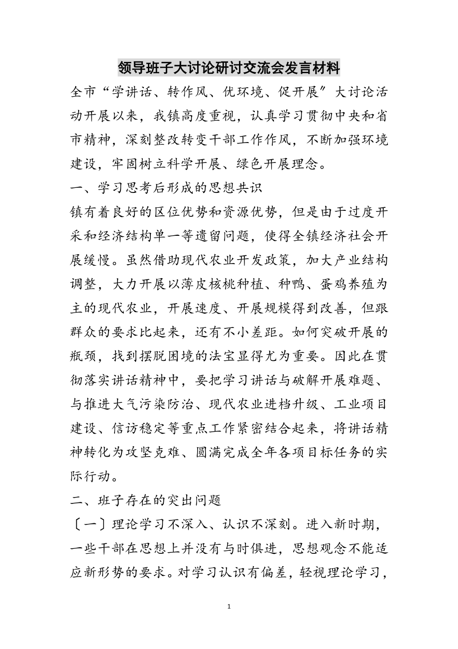 2023年领导班子大讨论研讨交流会发言材料范文.doc_第1页