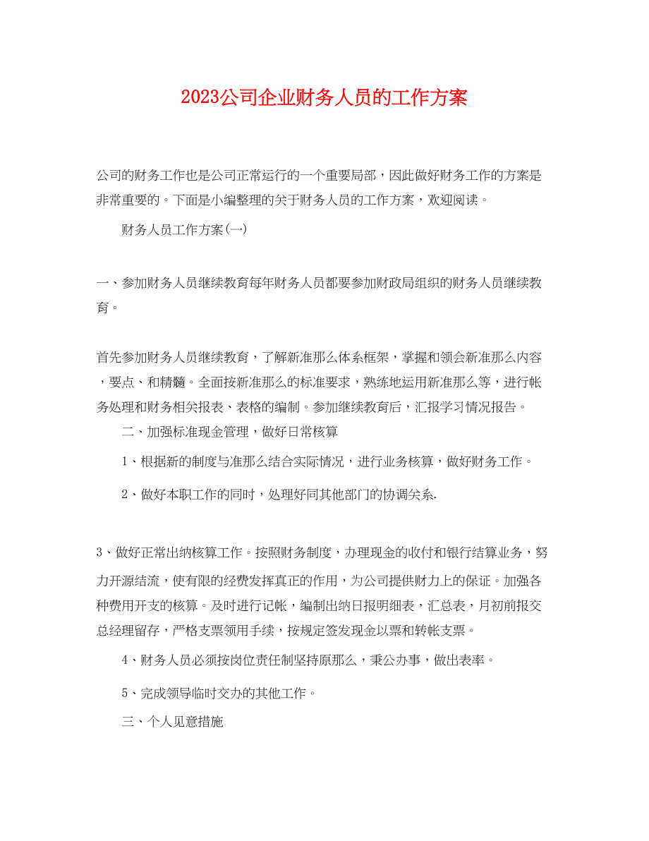 2023年公司企业财务人员的工作计划.docx_第1页