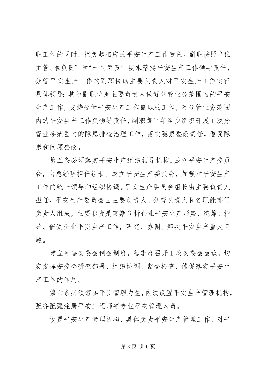 2023年安全生产主体责任五落实五到位新编.docx_第3页