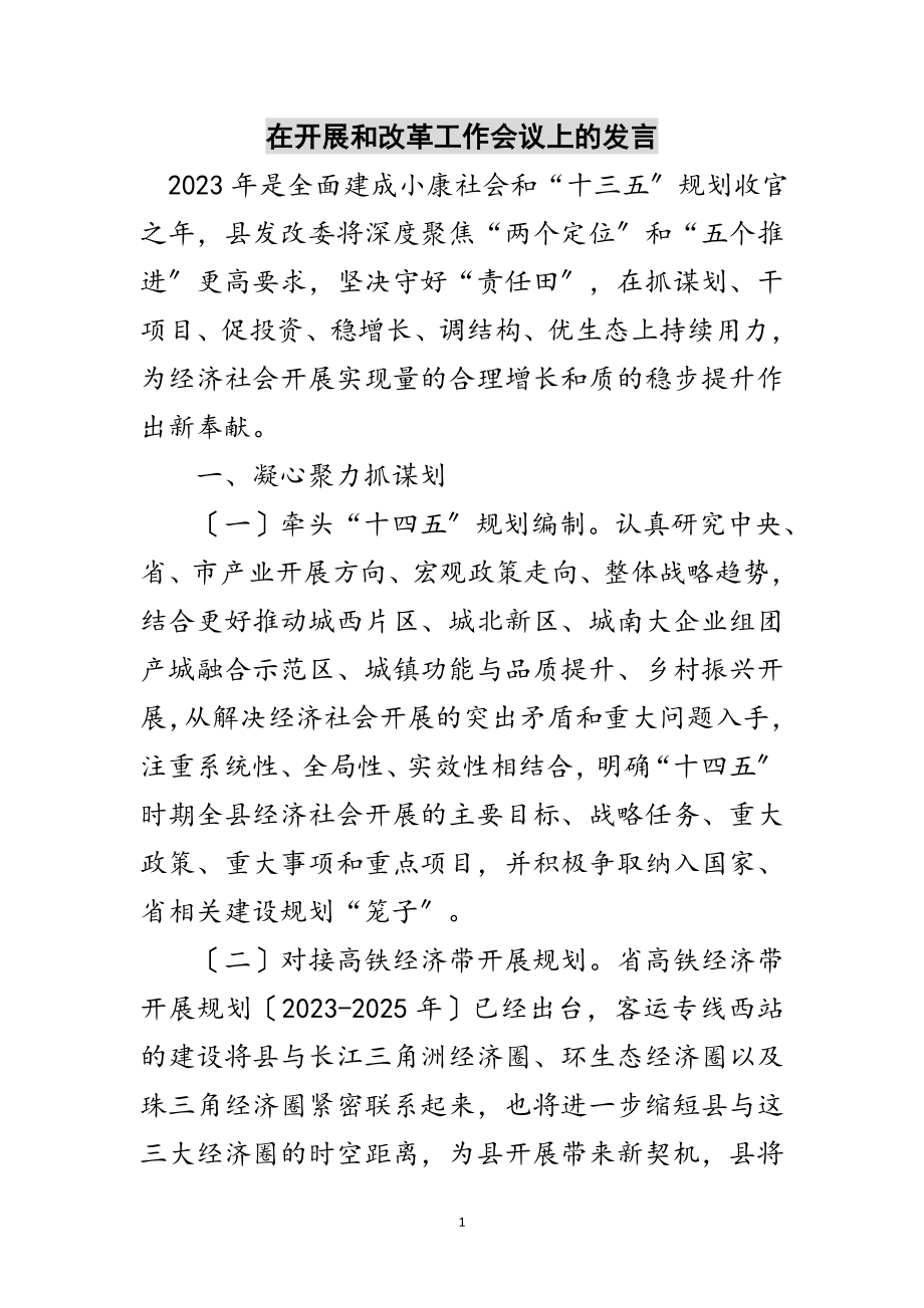 2023年在发展和改革工作会议上的发言范文.doc_第1页