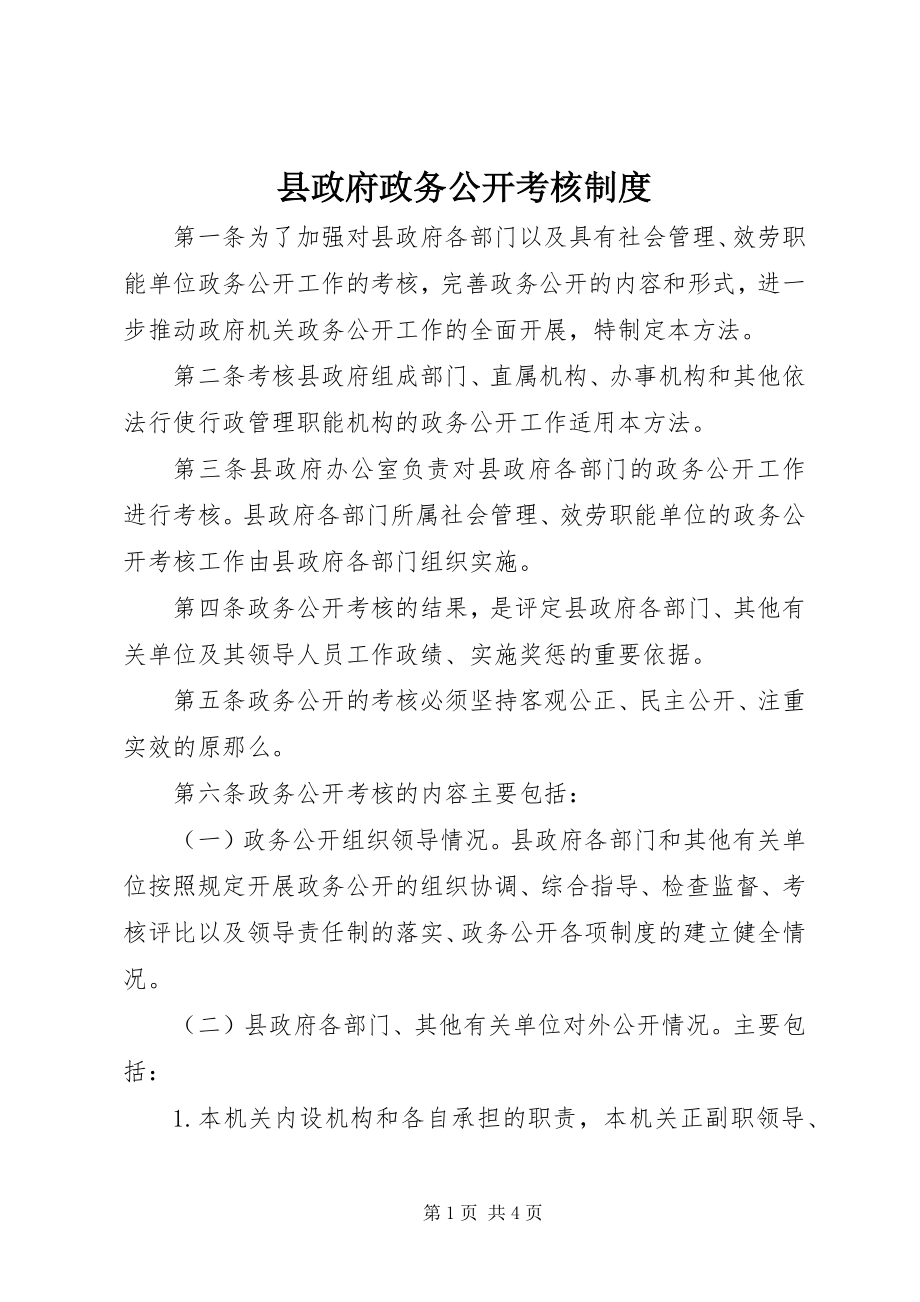 2023年县政府政务公开考核制度.docx_第1页