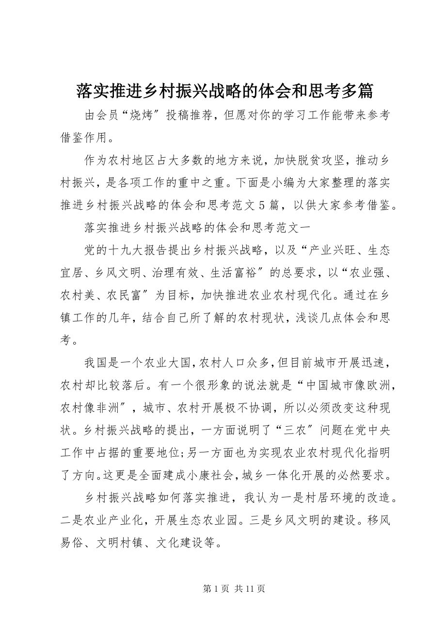 2023年落实推进乡村振兴战略的体会和思考多篇.docx_第1页