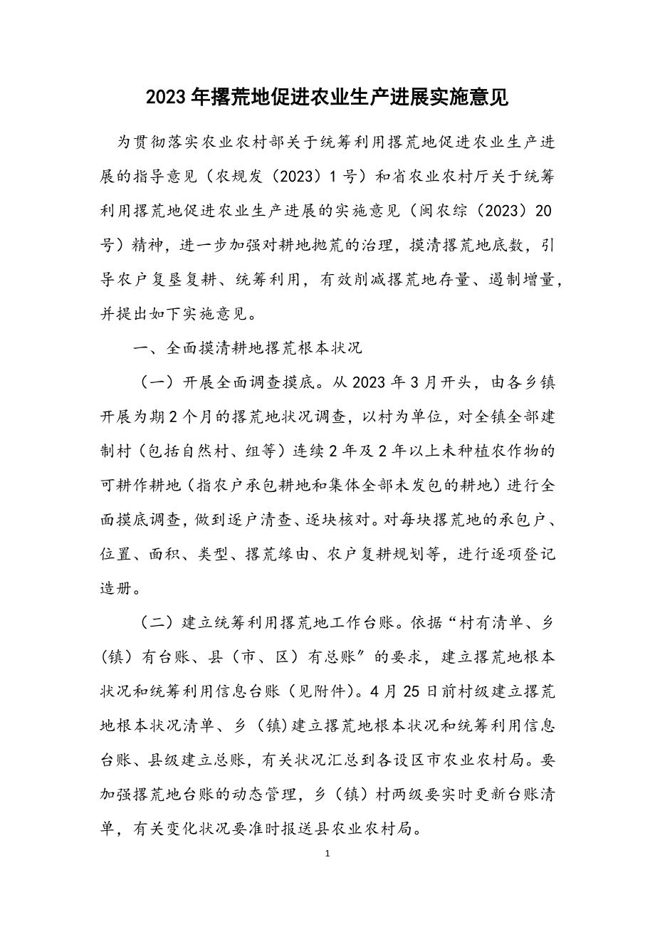 2023年撂荒地促进农业生产发展实施意见.docx_第1页