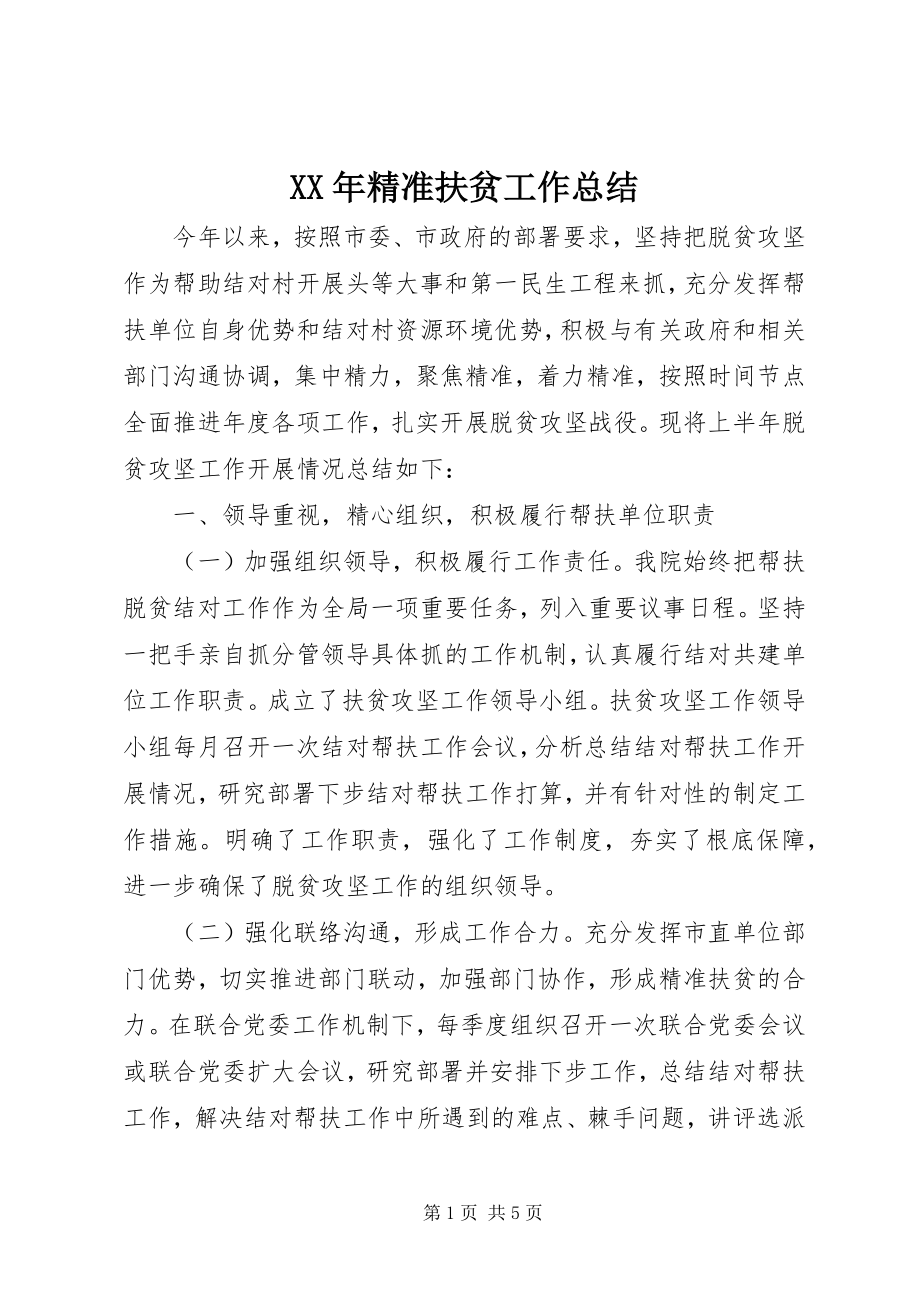 2023年精准扶贫工作总结新编.docx_第1页