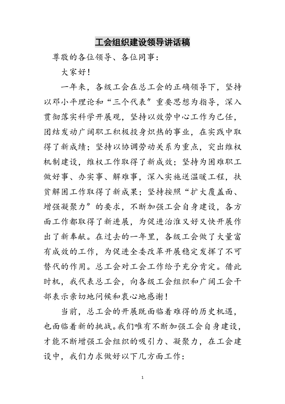 2023年工会组织建设领导讲话稿范文.doc_第1页