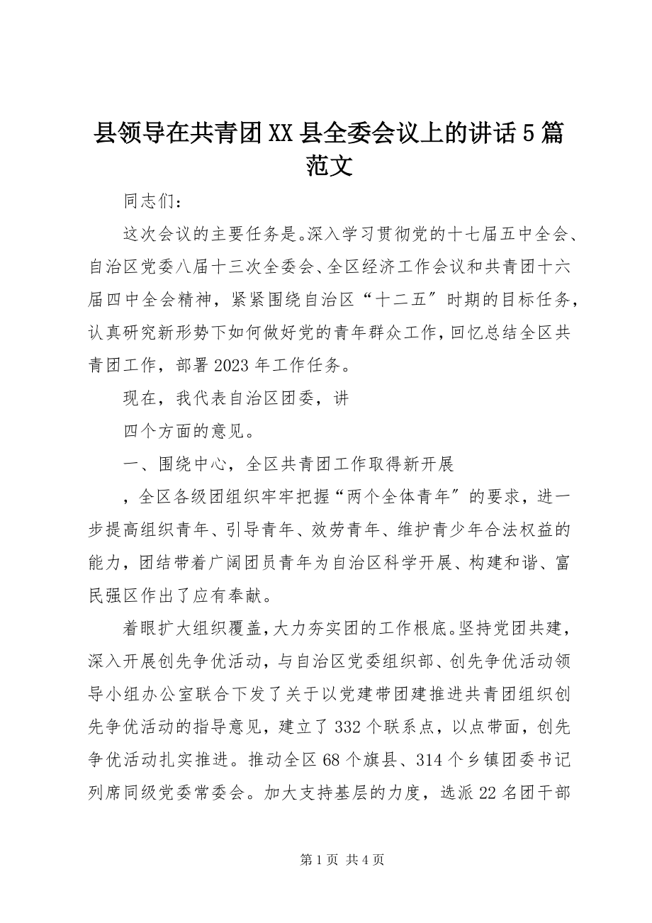 2023年县领导在共青团XX县全委会议上的致辞5篇.docx_第1页