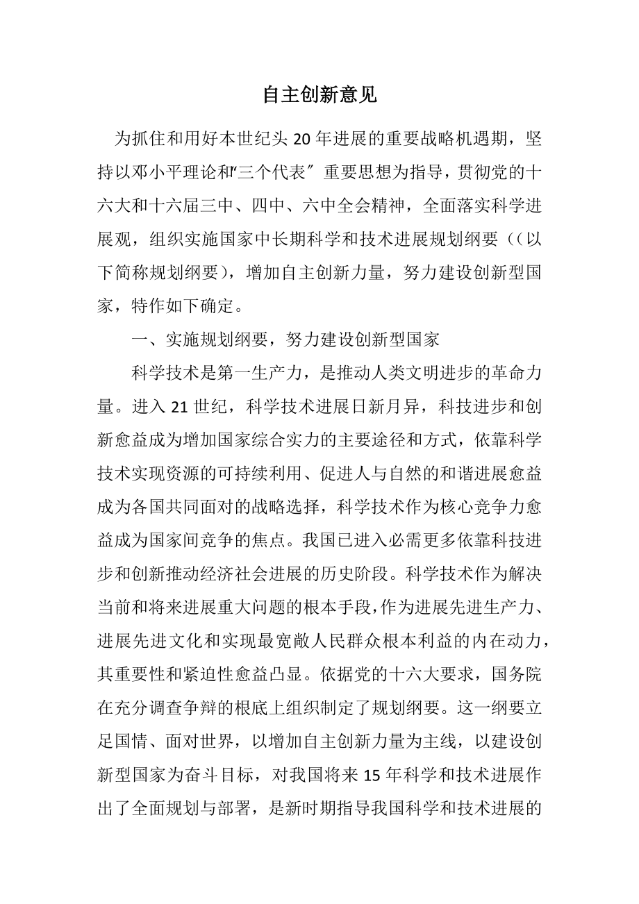 2023年自主创新意见.docx_第1页