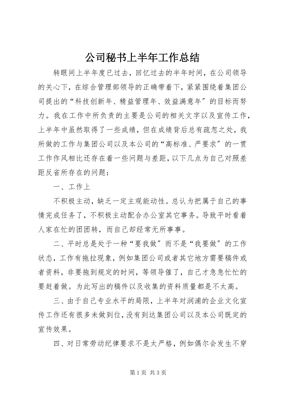 2023年公司秘书上半年工作总结.docx_第1页