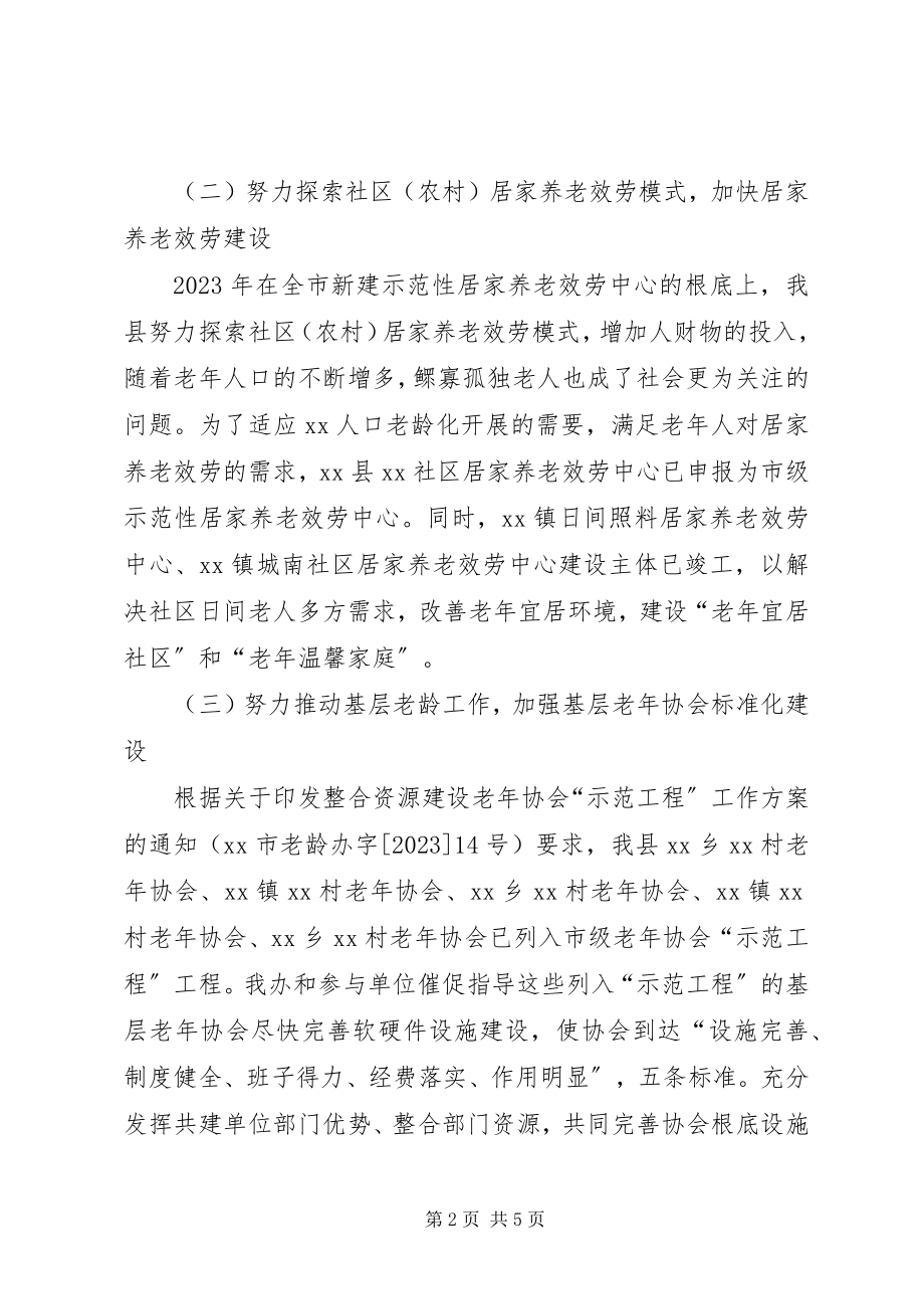 2023年老龄办工作总结4.docx_第2页