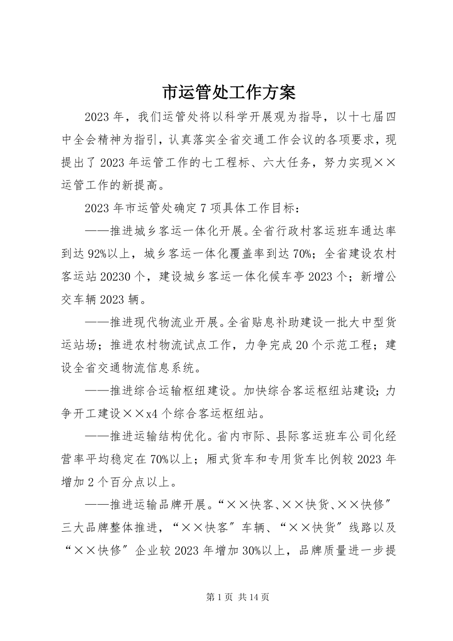 2023年市运管处工作计划.docx_第1页