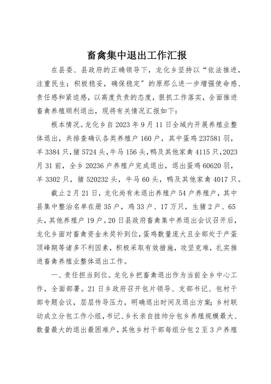 2023年畜禽集中退出工作汇报新编.docx_第1页