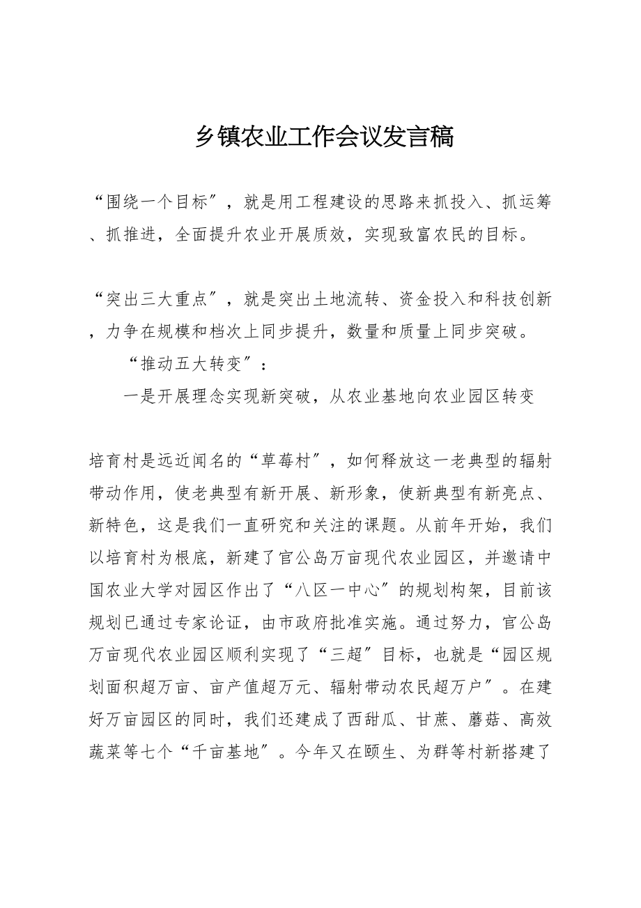 2023年乡镇农业工作会议讲话稿.doc_第1页