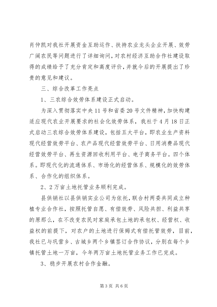 2023年县供销合作社度工作总结及下年计划.docx_第3页