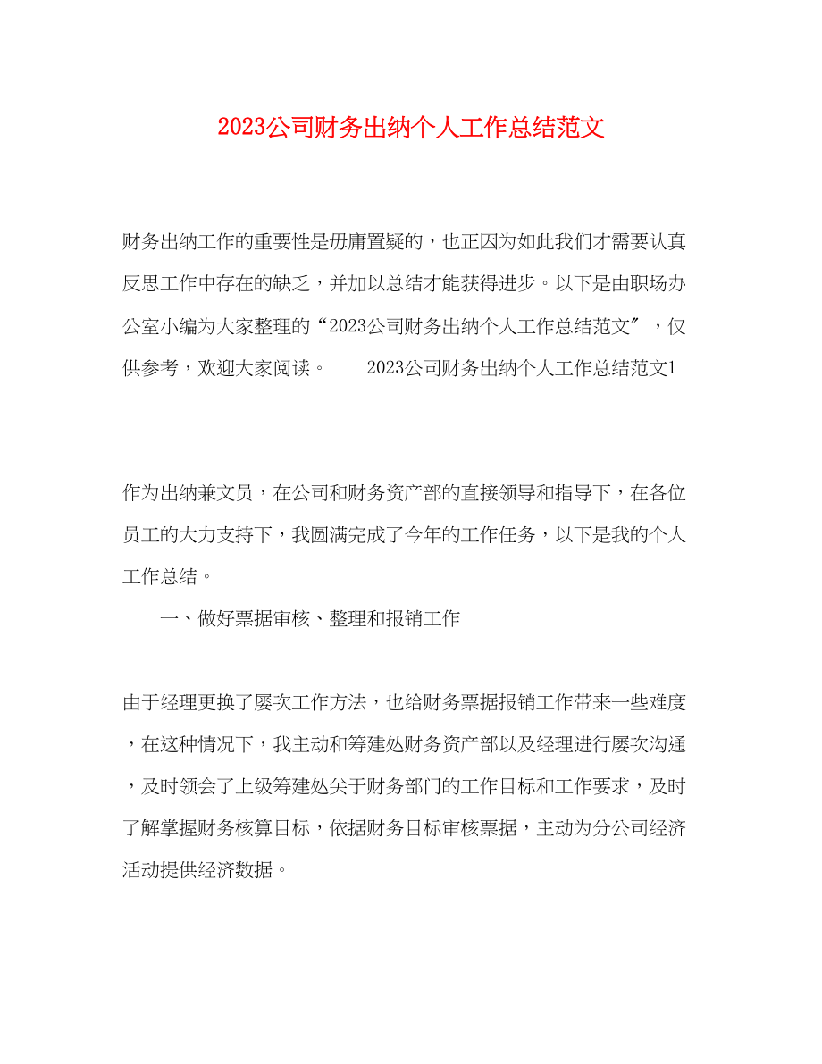 2023年公司财务出纳个人工作总结.docx_第1页