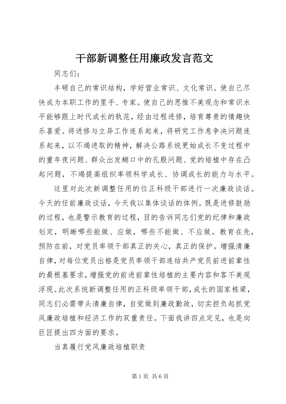 2023年干部新调整任用廉政讲话.docx_第1页