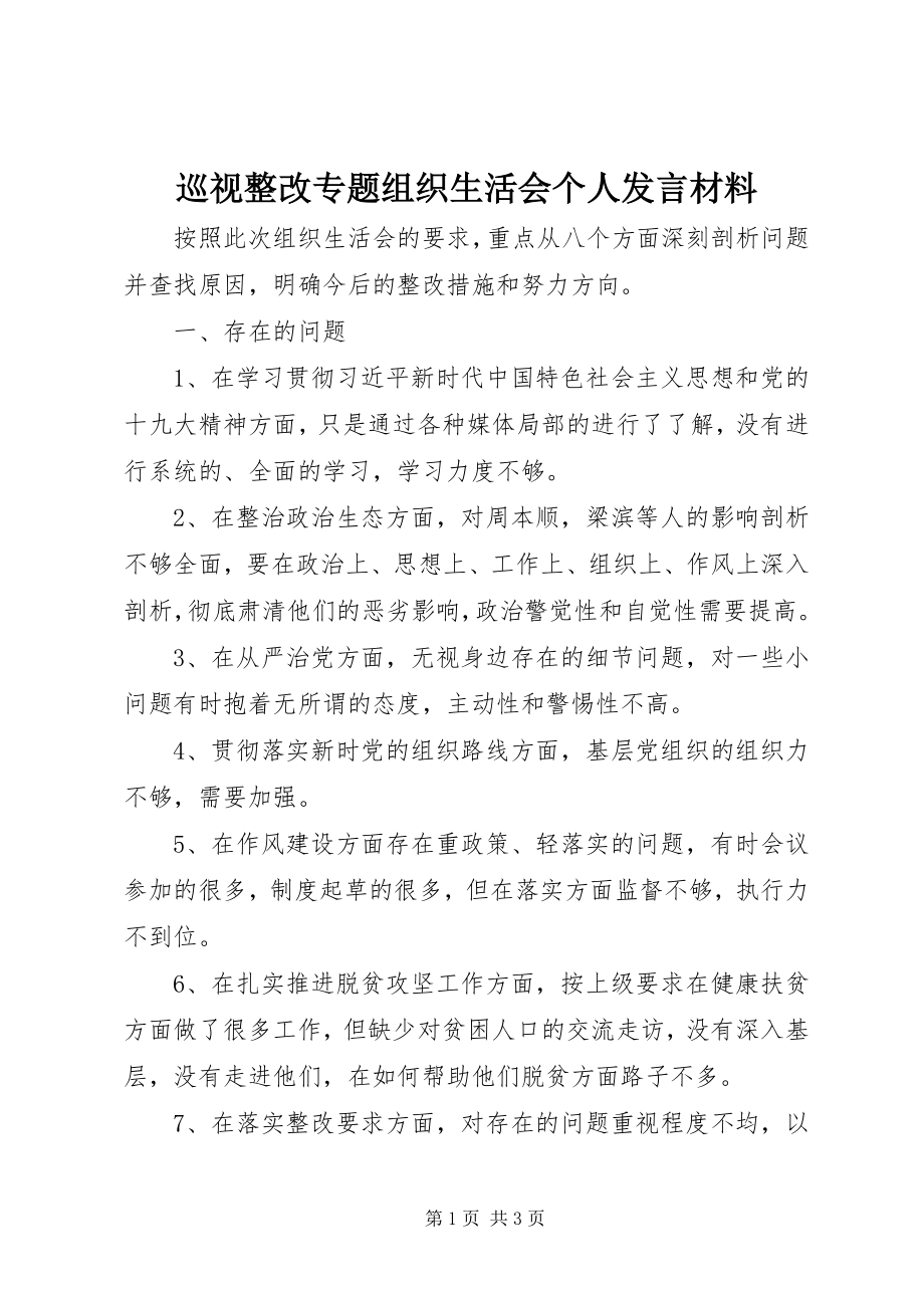 2023年巡视整改专题组织生活会个人讲话材料.docx_第1页