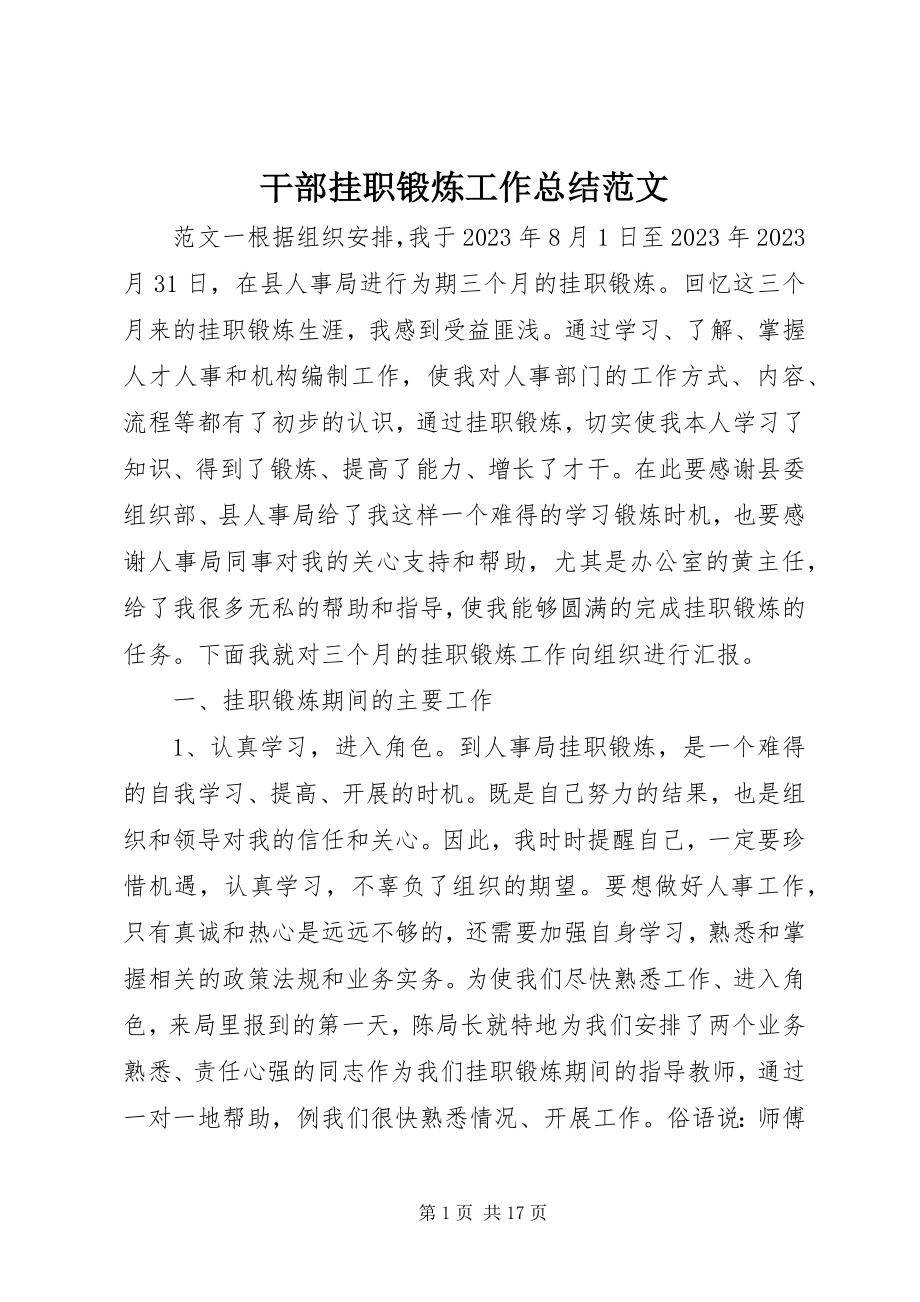 2023年干部挂职锻炼工作总结.docx_第1页