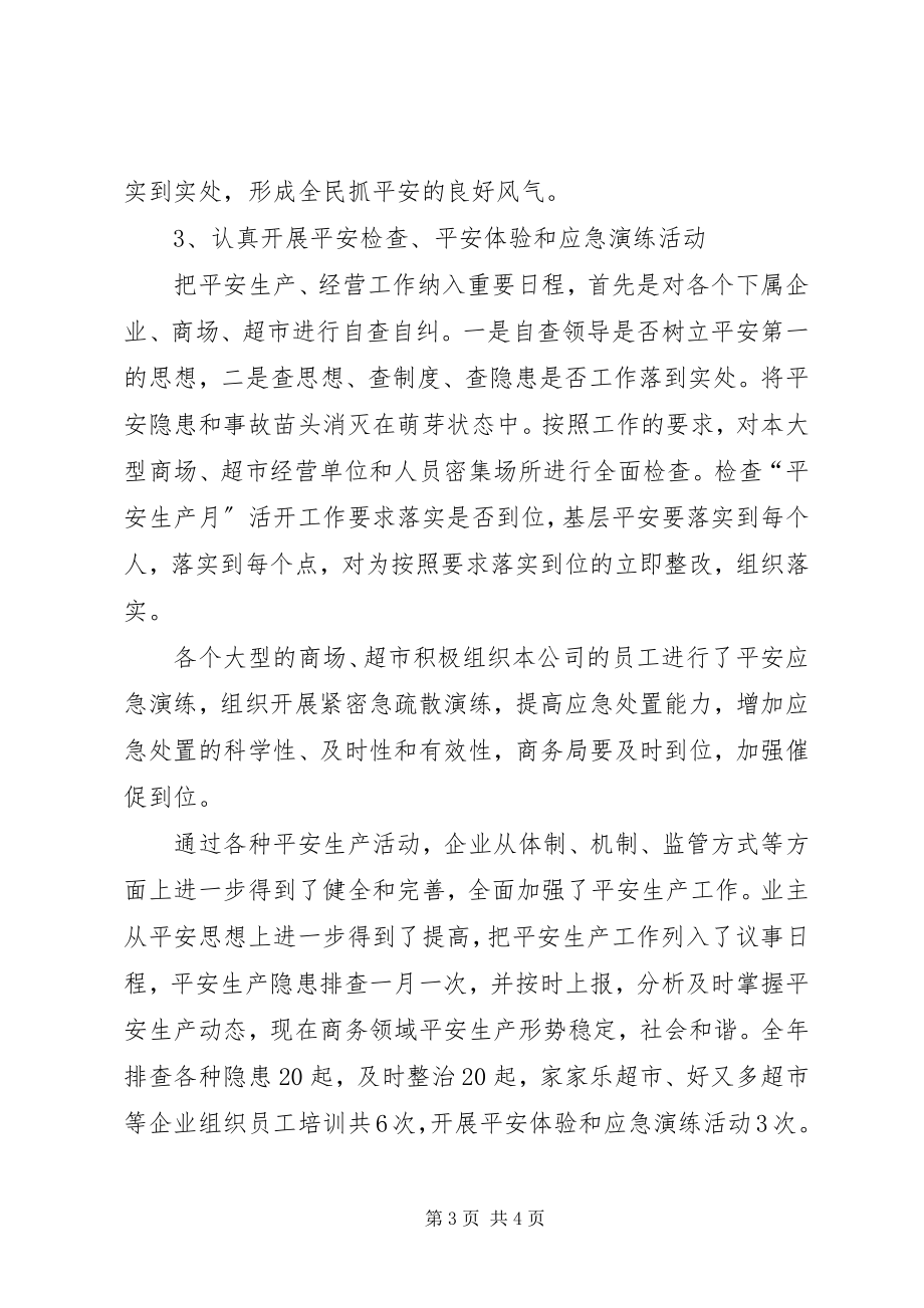 2023年乡镇商务局年度安全生产工作总结2.docx_第3页