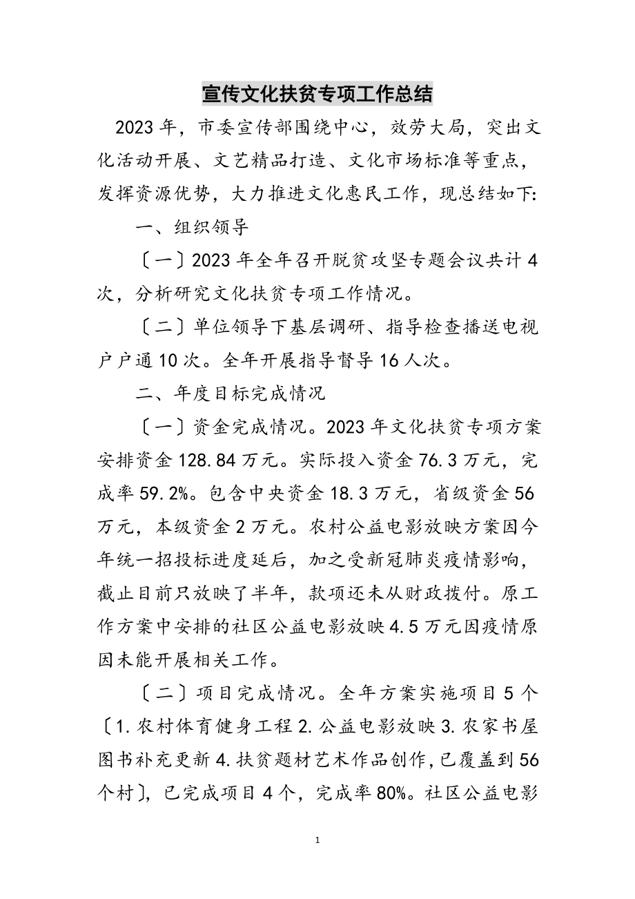 2023年宣传文化扶贫专项工作总结范文.doc_第1页