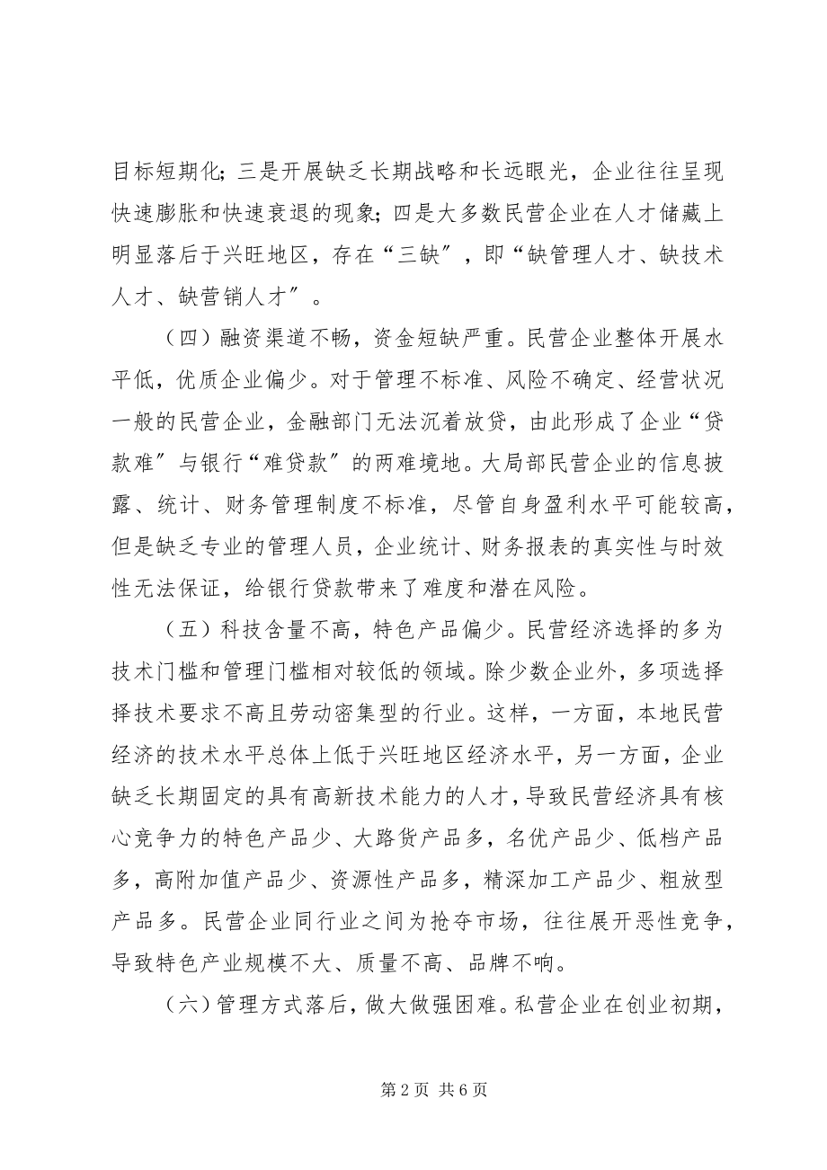 2023年民营经济发展问题思考.docx_第2页