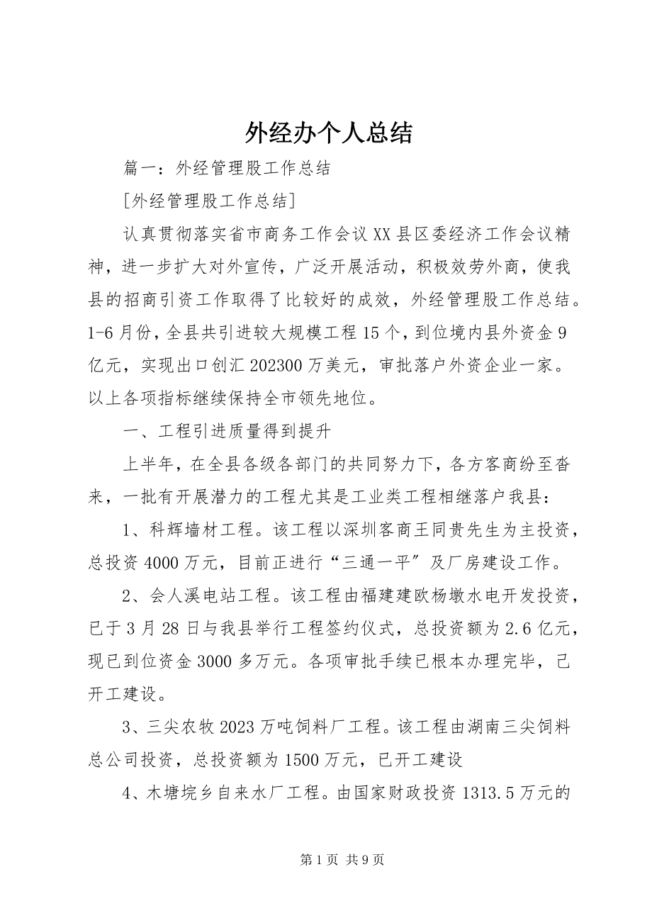 2023年外经办个人总结.docx_第1页