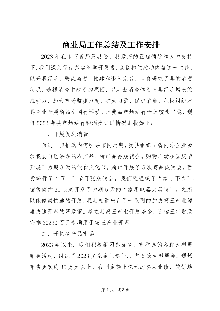 2023年商业局工作总结及工作安排.docx_第1页