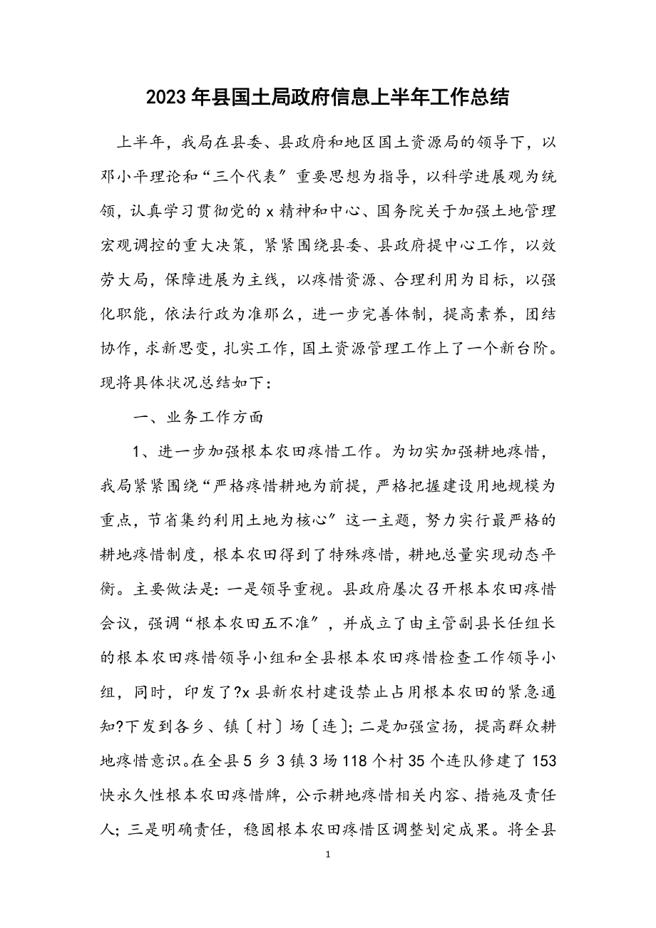 2023年县国土局政府信息上半年工作总结.docx_第1页