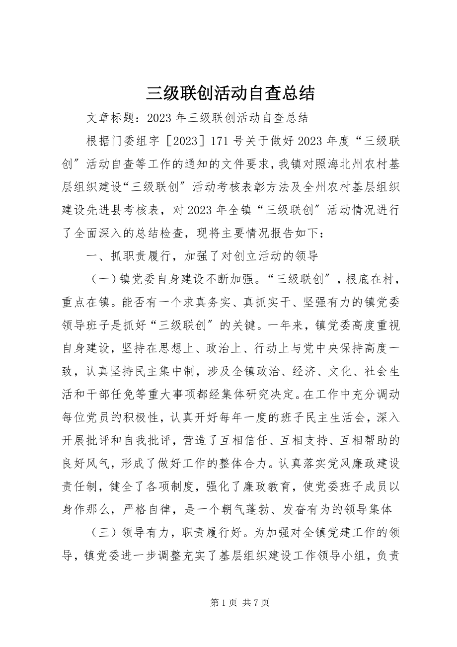 2023年三级联创活动自查总结.docx_第1页