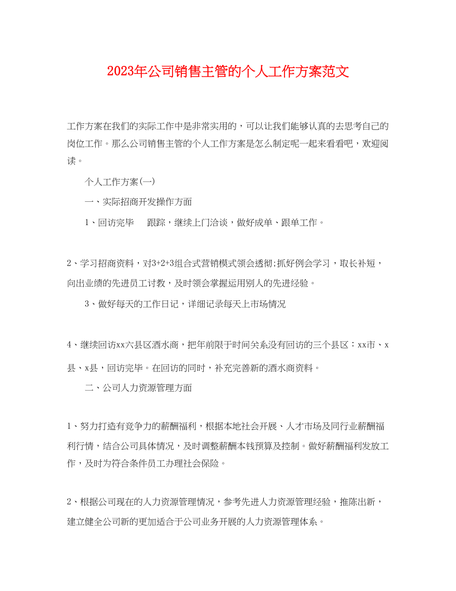 2023年公司销售主管的个人工作计划.docx_第1页