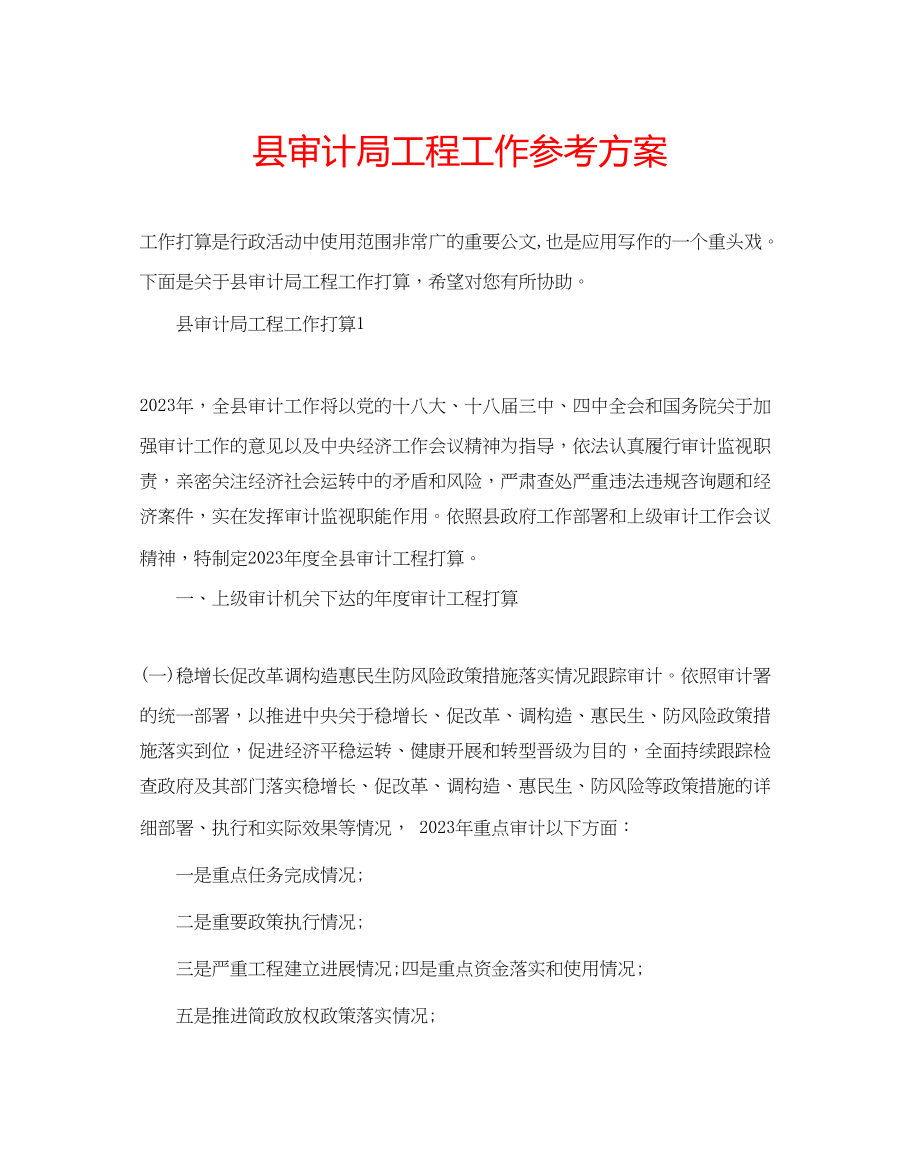 2023年县审计局项目工作计划.docx_第1页