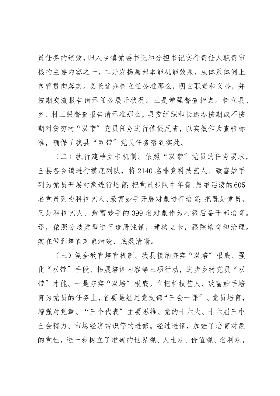 2023年党员双带能力培训经验交流.docx_第2页