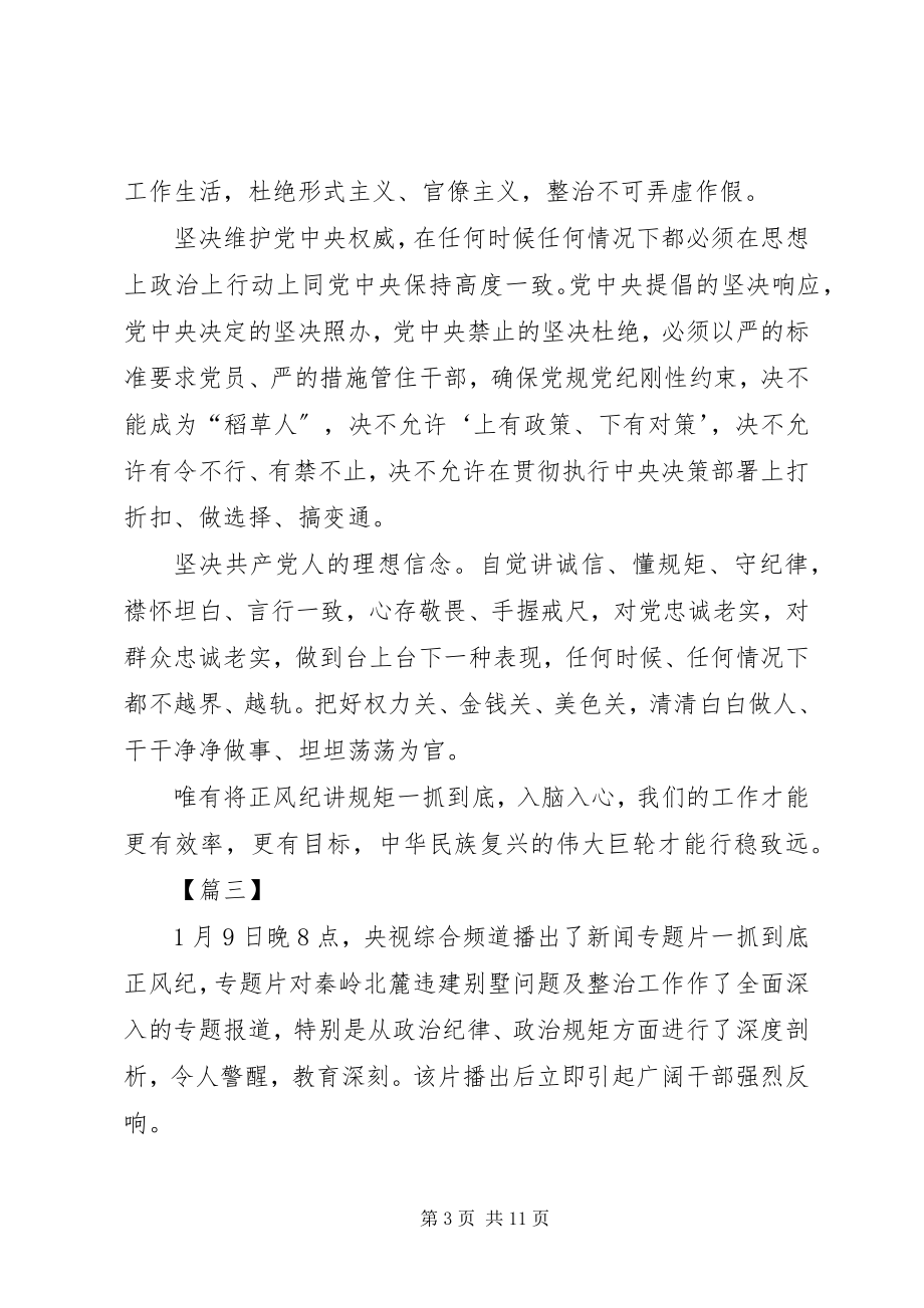 2023年《一抓到底正风纪》学习心得体会八篇.docx_第3页