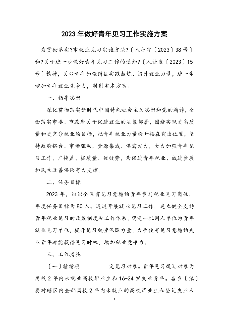 2023年做好青年见习工作实施方案.docx_第1页