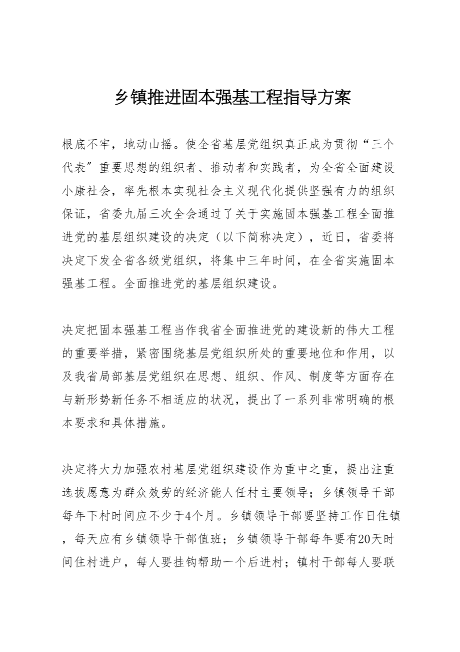 2023年乡镇推进固本强基工程指导方案 .doc_第1页