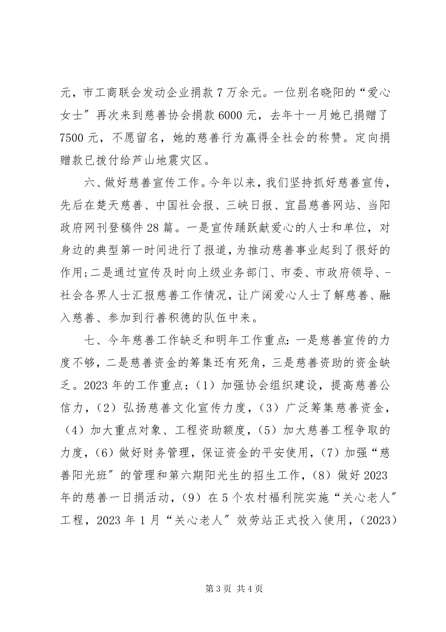 2023年市慈善协会工作总结.docx_第3页