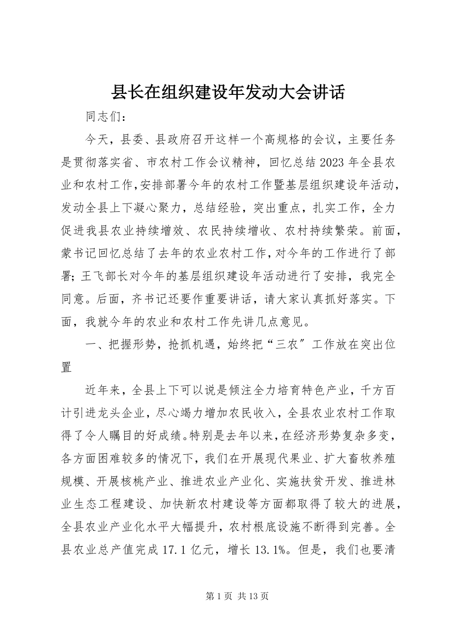 2023年县长在组织建设年动员大会致辞.docx_第1页