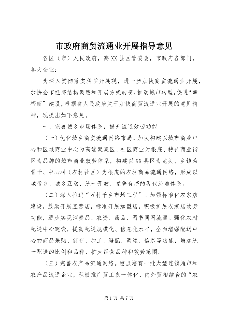 2023年市政府商贸流通业发展指导意见.docx_第1页