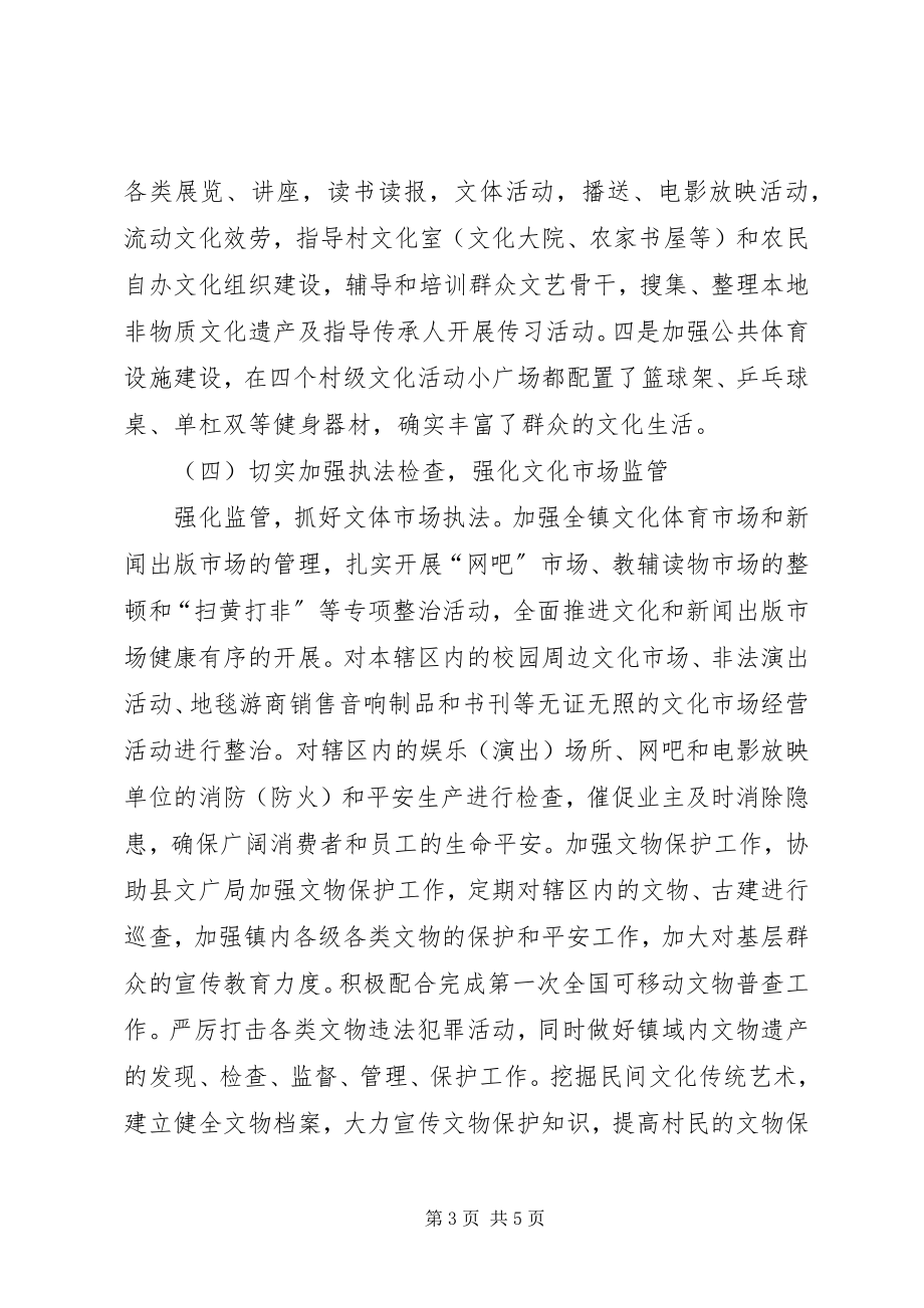 2023年娜姑镇公共文化服务体系建设工作总结.docx_第3页